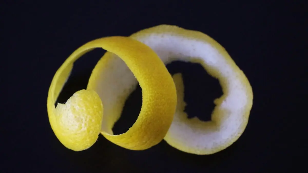 citronsnaps