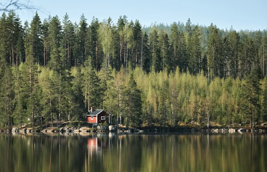 Guiden till att arrangera en snapsafton illustration